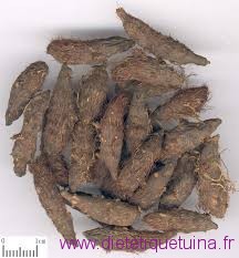 Xiang Fu en médecine chinoise