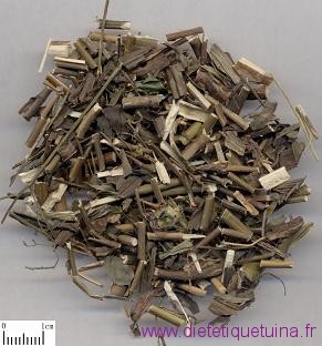 Chai hu