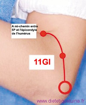 11GI est à mi-distance de la ligne 11GI