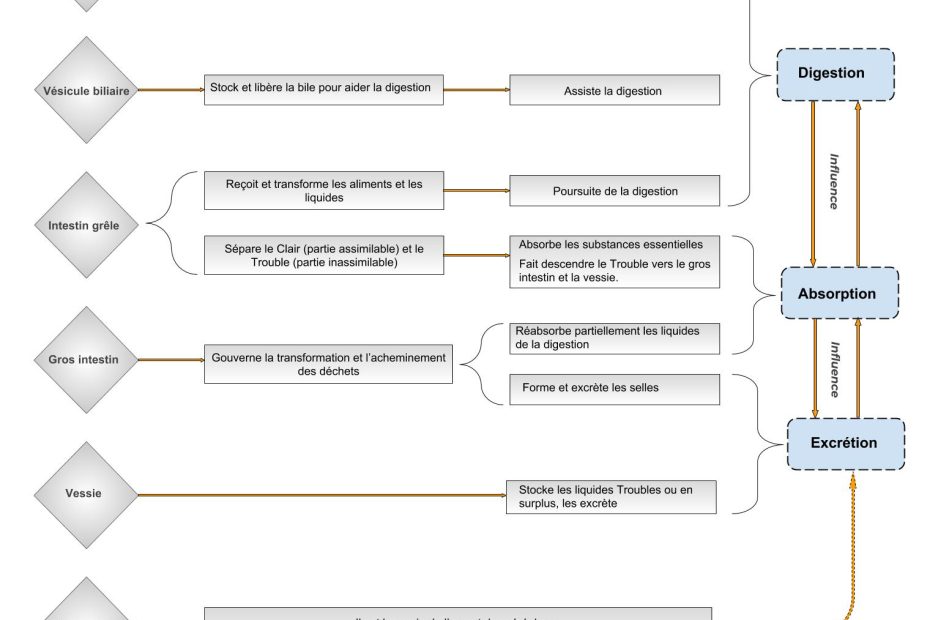 Fonctions et relations des 6 Fu