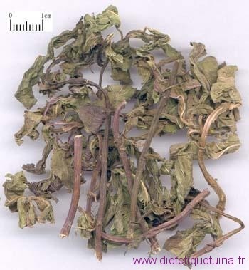 menthe