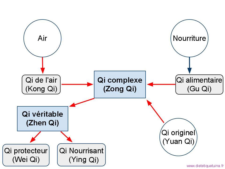 Schéma des différentes formes du Qi et leur formation Les formes du Qi