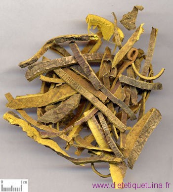 Ecorce Huang Bai