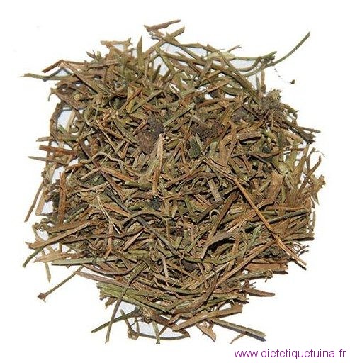 Jiaogulan jiaogulan