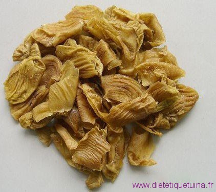 Ji Nei Jing