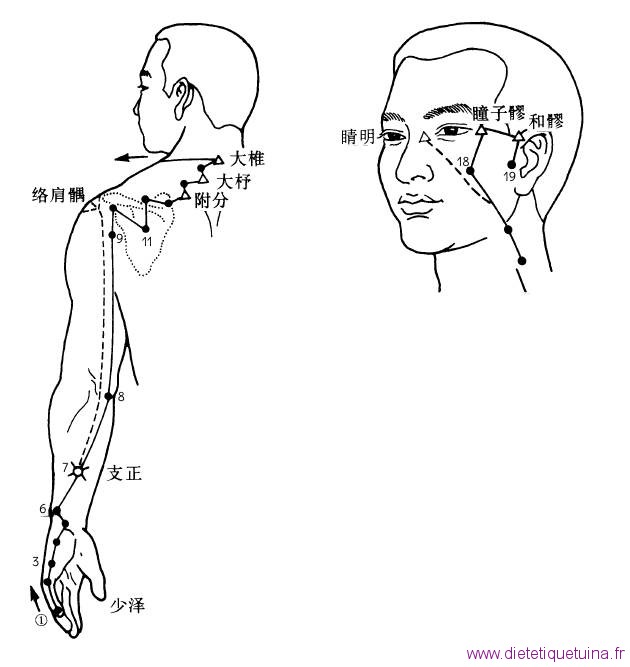 Points principaux